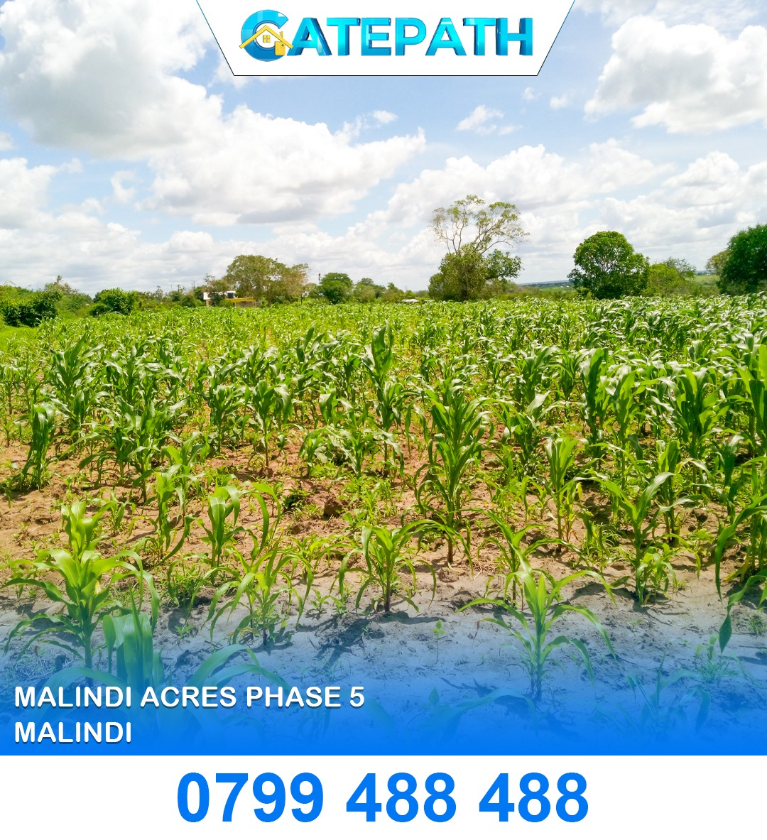 Malindi Acres Phase 5 view 2