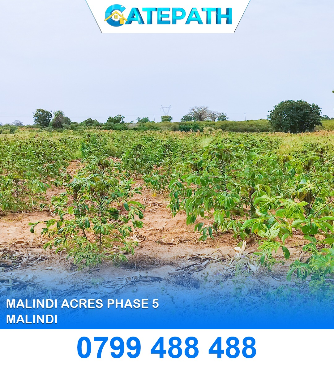 Malindi Acres Phase 5 view 3