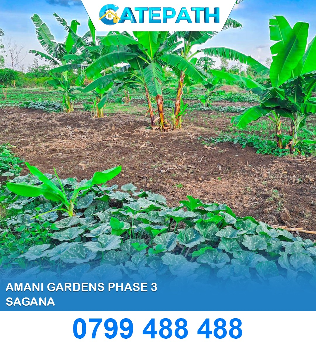 Amani Gardens Phase 3 view 4